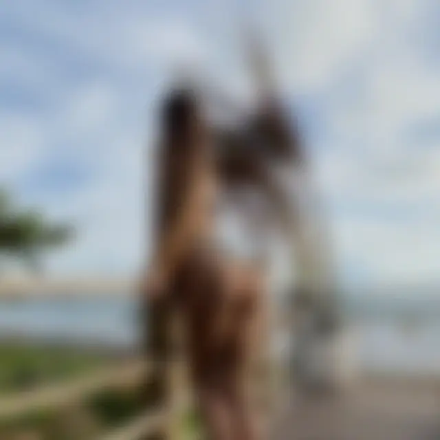 photo1